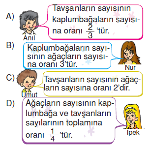 6.sinif-oran-oranti-9