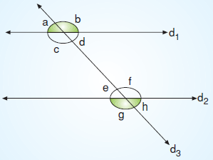 7.sinif-dogrular-ve-acilar-33