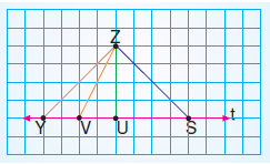 7.sinif-dogrular-ve-acilarr-6