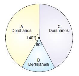 daıre-grafık-ornek-12