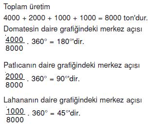 daıre-grafık-ornek-7