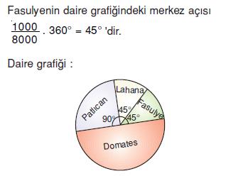daıre-grafık-ornek-8