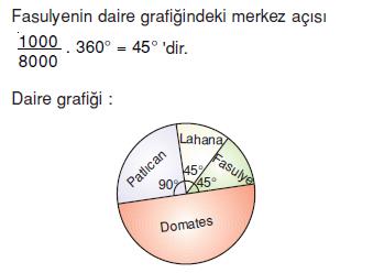 daıre-grafık-ornek-8