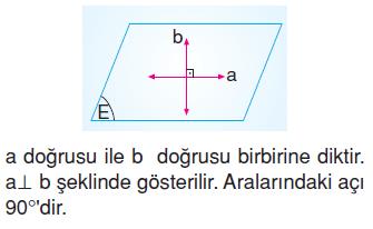 dogru-dogruparcasi-ısın-ornek-36