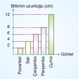 sutun-grafık-7