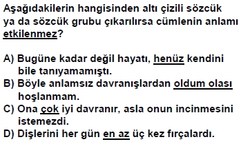 2007dpy7sinifbkitapcigisoru_021
