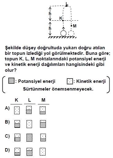 2007dpy7sinifbkitapcigisoru_059