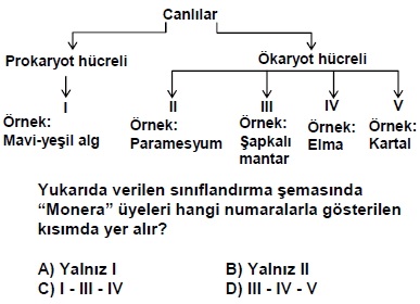 2007dpy9sinifbkitapcigisoru_072