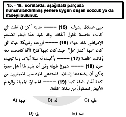 2011kpdsilkbahararapcasoru_017