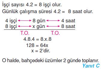 7.sinif-oran-oranti-38