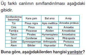 Canlilarin-cesitliligi-ve-siniflandirilmesi-1