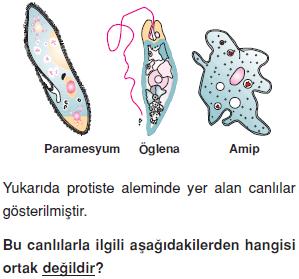 Canlilarin-cesitliligi-ve-siniflandirilmesi-12