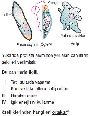 Canlilarin-cesitliligi-ve-siniflandirilmesi-14