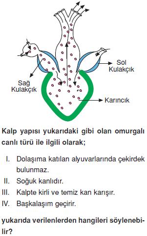 Canlilarin-cesitliligi-ve-siniflandirilmesi-21