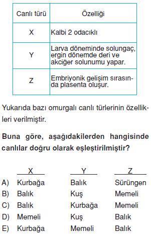 Canlilarin-cesitliligi-ve-siniflandirilmesi-23