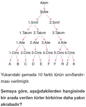 Canlilarin-cesitliligi-ve-siniflandirilmesi-5