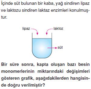 Canlilarin-yapisinda-bulunan-temel-bilesikler-10