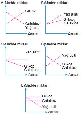 Canlilarin-yapisinda-bulunan-temel-bilesikler-11