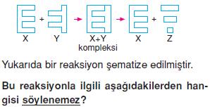 Canlilarin-yapisinda-bulunan-temel-bilesikler-14