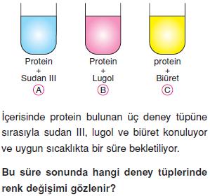 Canlilarin-yapisinda-bulunan-temel-bilesikler-15