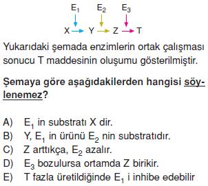 Canlilarin-yapisinda-bulunan-temel-bilesikler-16