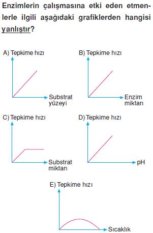 Canlilarin-yapisinda-bulunan-temel-bilesikler-18