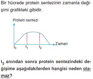 Canlilarin-yapisinda-bulunan-temel-bilesikler-19