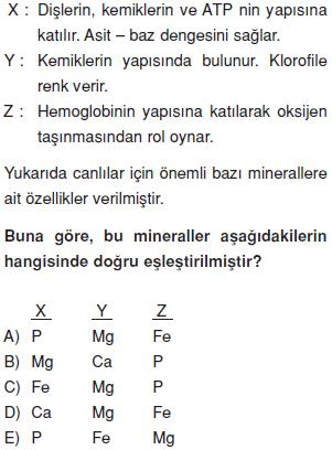 Canlilarin-yapisinda-bulunan-temel-bilesikler-2