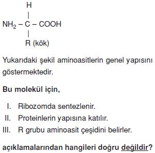 Canlilarin-yapisinda-bulunan-temel-bilesikler-21