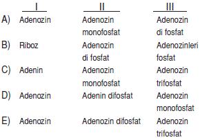 Canlilarin-yapisinda-bulunan-temel-bilesikler-24