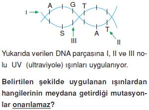 Canlilarin-yapisinda-bulunan-temel-bilesikler-25