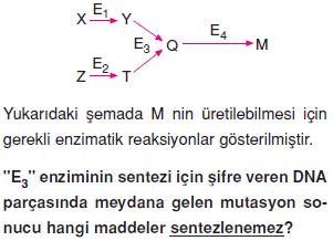 Canlilarin-yapisinda-bulunan-temel-bilesikler-28