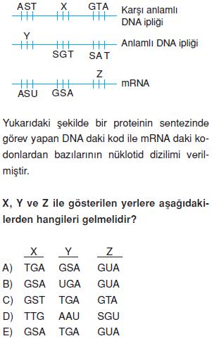 Canlilarin-yapisinda-bulunan-temel-bilesikler-29