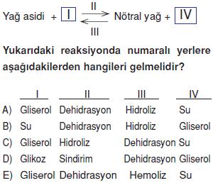 Canlilarin-yapisinda-bulunan-temel-bilesikler-4