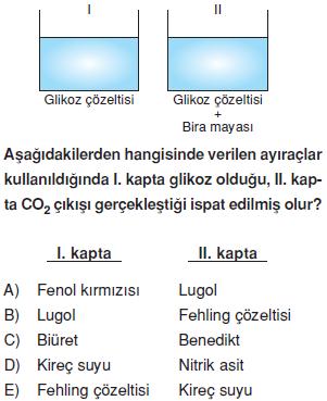 Canlilarin-yapisinda-bulunan-temel-bilesikler-5