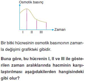 Canliligin-temel-birimi-hucre-11