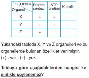 Canliligin-temel-birimi-hucre-13