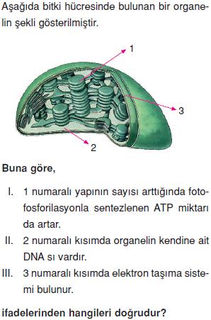 Canliligin-temel-birimi-hucre-15