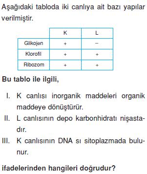 Canliligin-temel-birimi-hucre-17