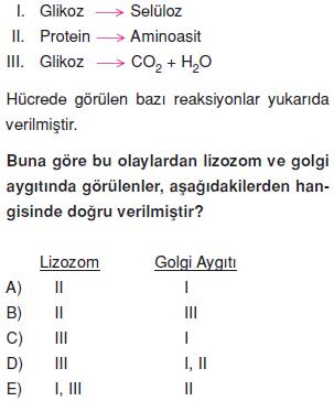 Canliligin-temel-birimi-hucre-18