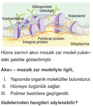 Canliligin-temel-birimi-hucre-2