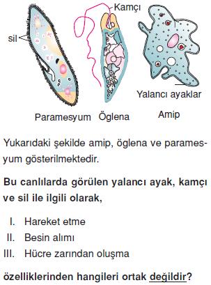 Canliligin-temel-birimi-hucre-4