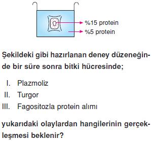 Canliligin-temel-birimi-hucre-5