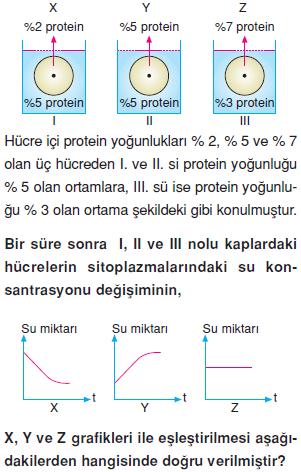 Canliligin-temel-birimi-hucre-7