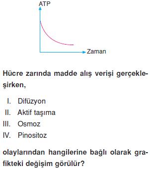 Canliligin-temel-birimi-hucre-9