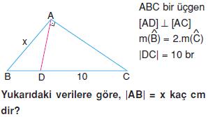 Dik-ucgen-ve-trigonometri-pisagor-teoremi-12