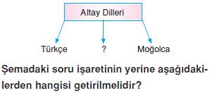 Dillerin-siniflandirilmasi-ve-turkcenin-dunya-dilleri-arasindaki-yeri-4