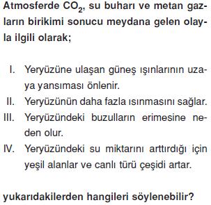 9.Sınıf Güncel Çevre Sorunları Konu Testi - 1 | Bilgicik.Com