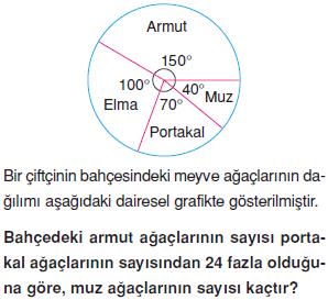 Veri-sayma-olasılık-verilerin-grafikle-gosterilmesi-8