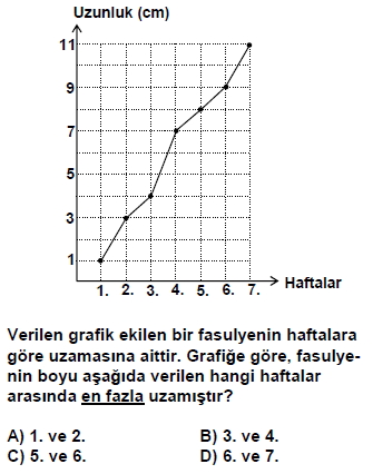 dpy5sinifakitapcigisoru_050